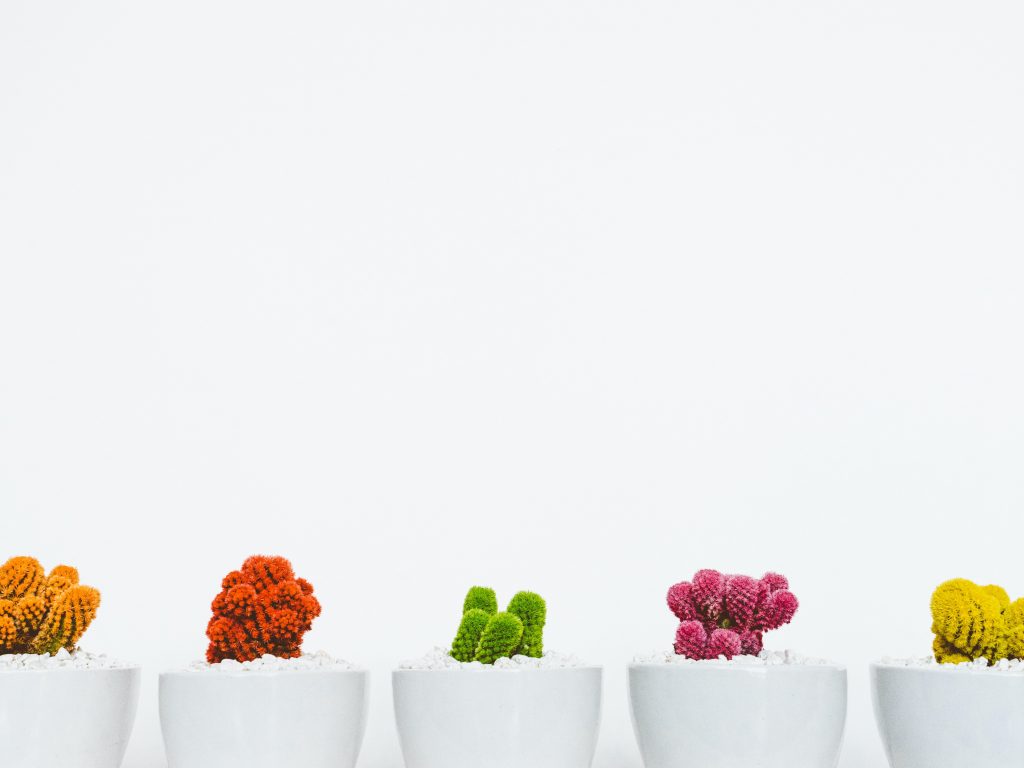 scott-webb-GQD3Av_9A88-unsplash